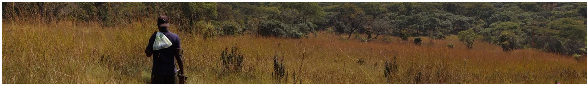 Rural landscape connected to Luachimo Foundation impact initiatives